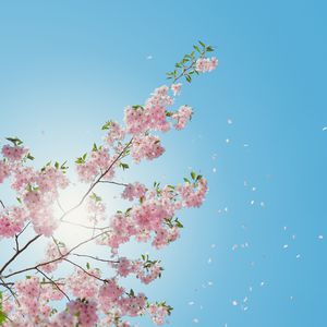 无套刚进去的时候太爽了
