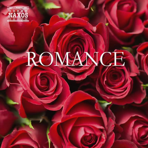 无套刚进去的时候太爽了
